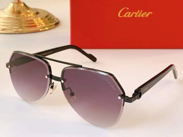 Cartier Sunglasses Top Quality B6001_0092