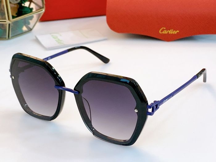 Cartier Sunglasses Top Quality B6001_0138