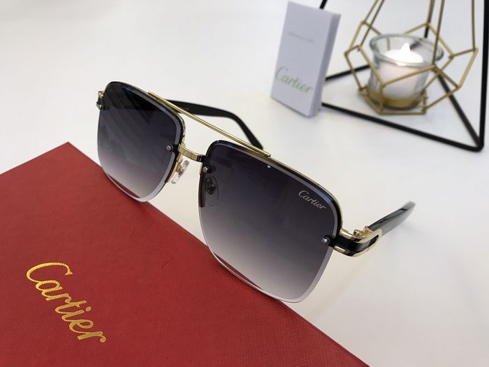 Cartier Sunglasses Top Quality B6001_0188