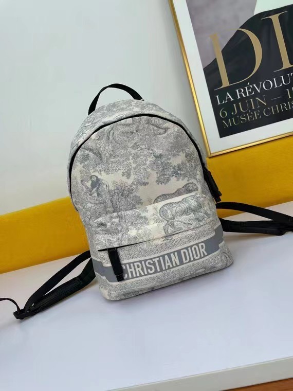 DIOR SMALL DIORTRAVEL BACKPACK M6108 grey
