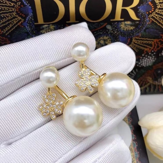 Dior Earrings CE6857