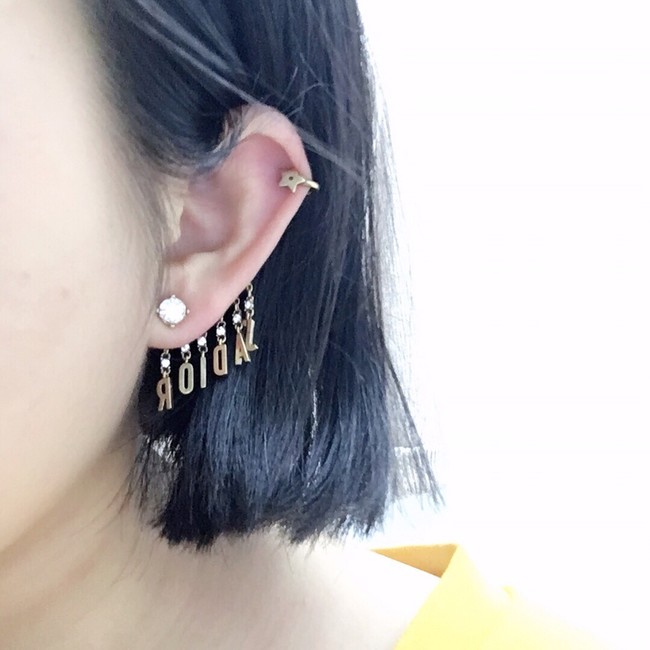 Dior Earrings CE7274