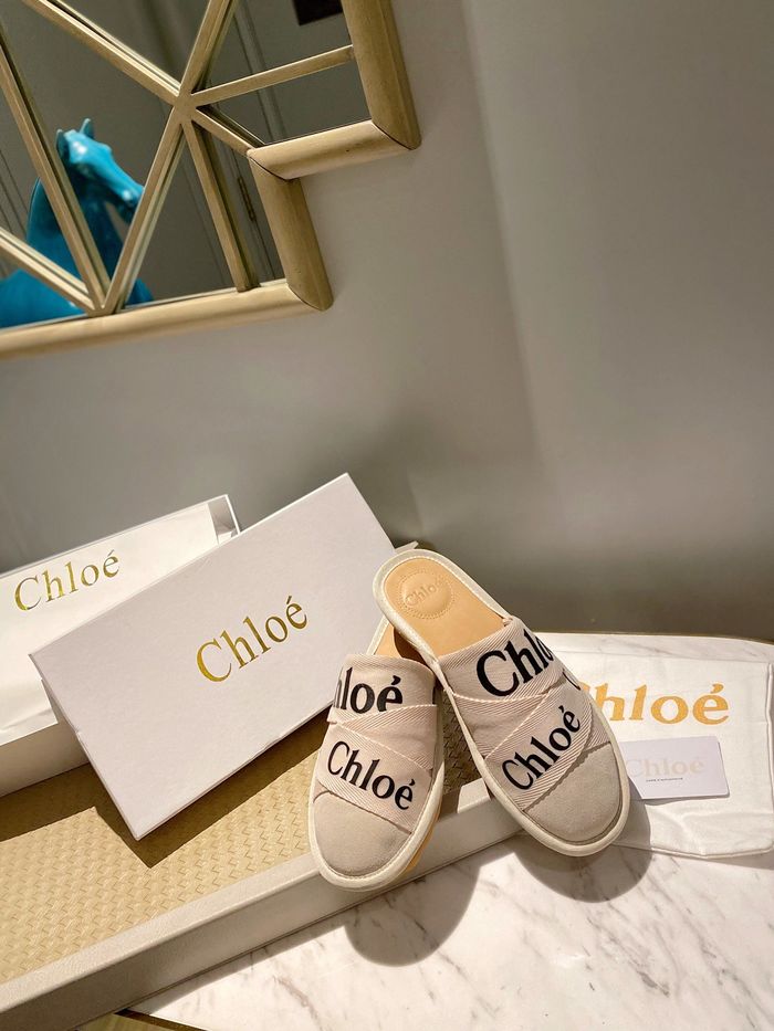 Chloe shoes CO00008