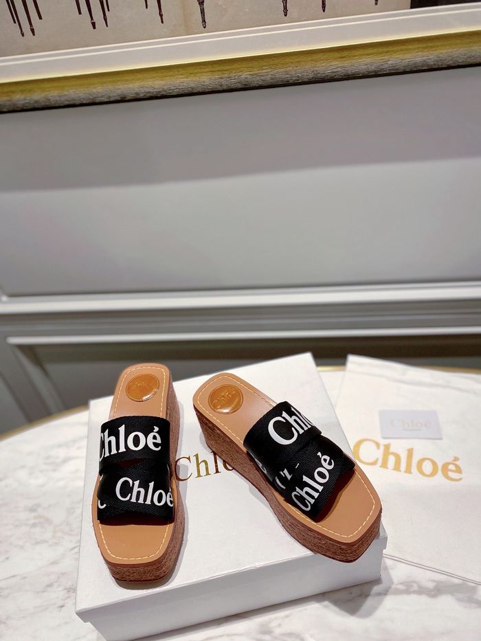 Chloe shoes CO00010