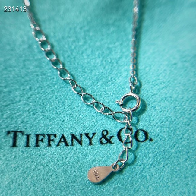 TIFFANY Necklace CE7854