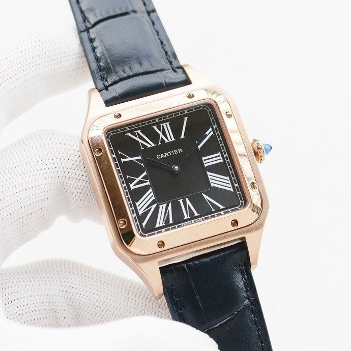 Cartier Watch CTW00019-4