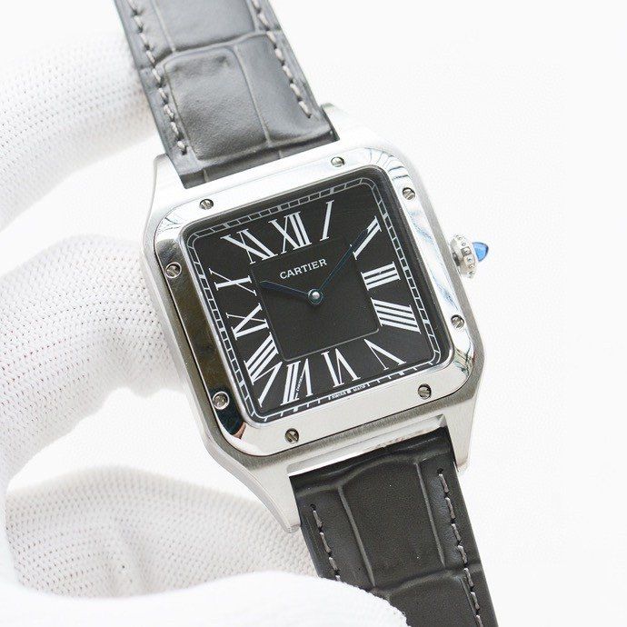 Cartier Watch CTW00020-4