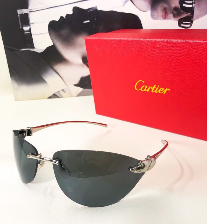 Cartier Sunglasses Top Quality CAS00025