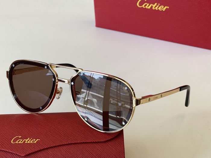 Cartier Sunglasses Top Quality CAS00046
