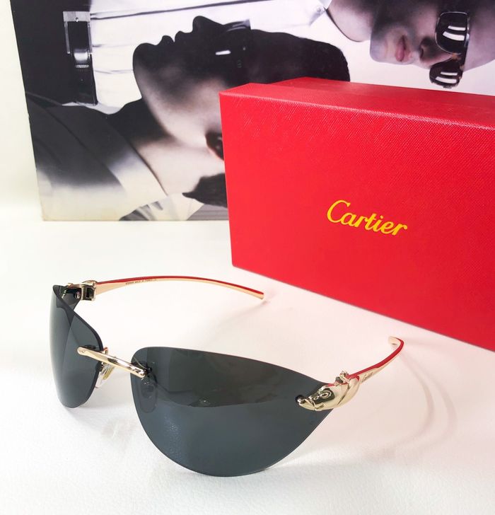 Cartier Sunglasses Top Quality CAS00113