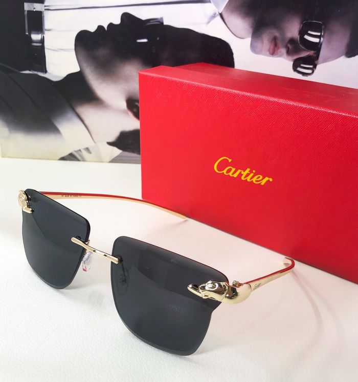 Cartier Sunglasses Top Quality CAS00198