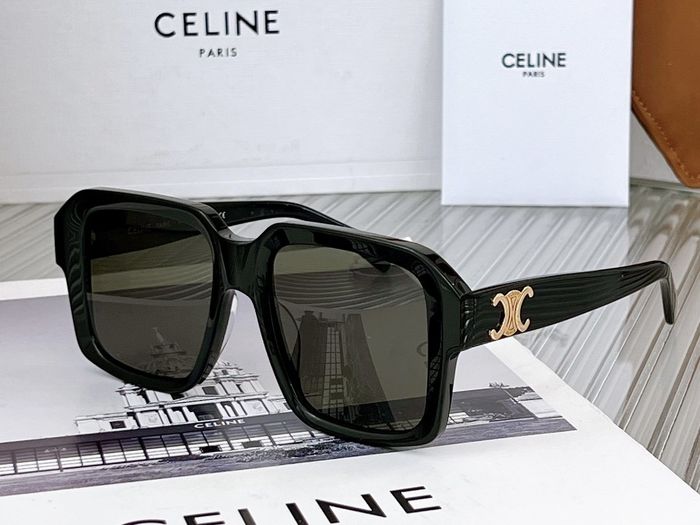 Celine Sunglasses Top Quality CES00012