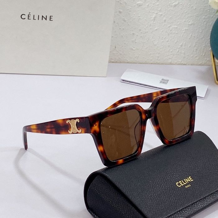 Celine Sunglasses Top Quality CES00141