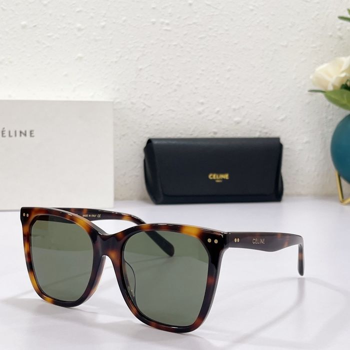 Celine Sunglasses Top Quality CES00159