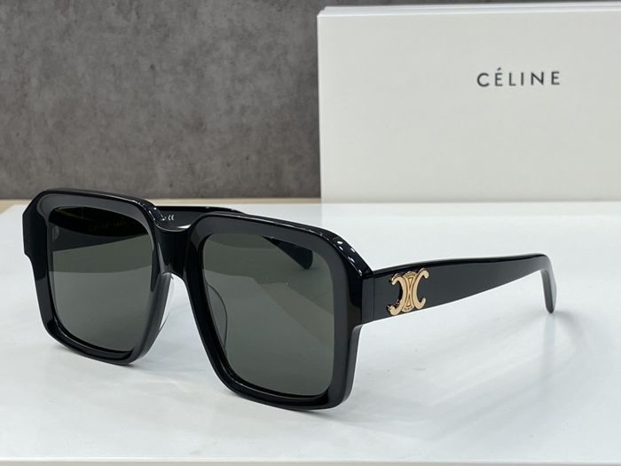 Celine Sunglasses Top Quality CES00193