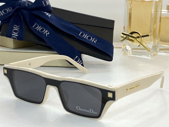 Dior Sunglasses Top Quality DIS00181