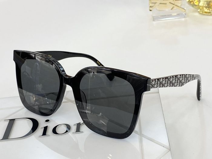 Dior Sunglasses Top Quality DIS00202