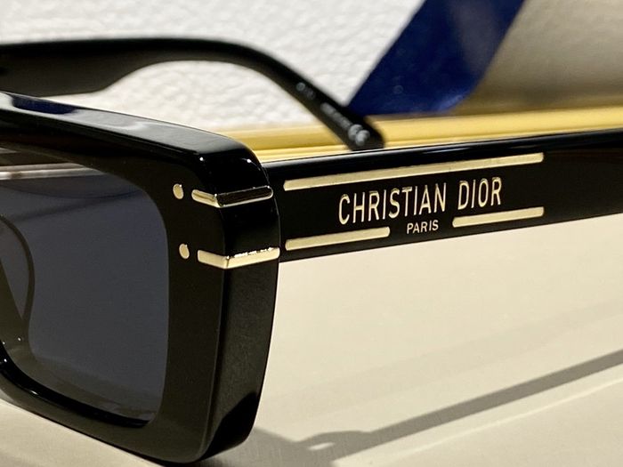 Dior Sunglasses Top Quality DIS00660