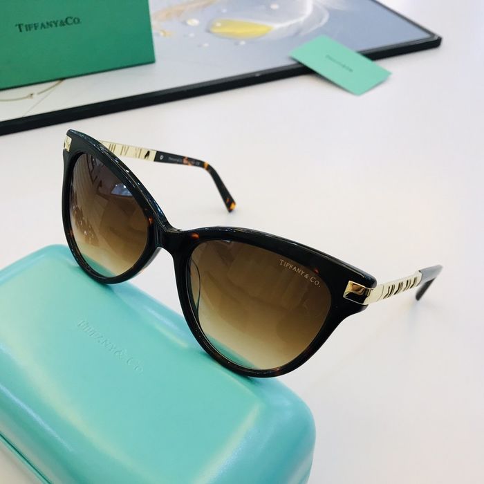 Tiffany Sunglasses Top Quality TFS00001