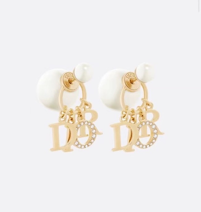 Dior Earrings CE8001