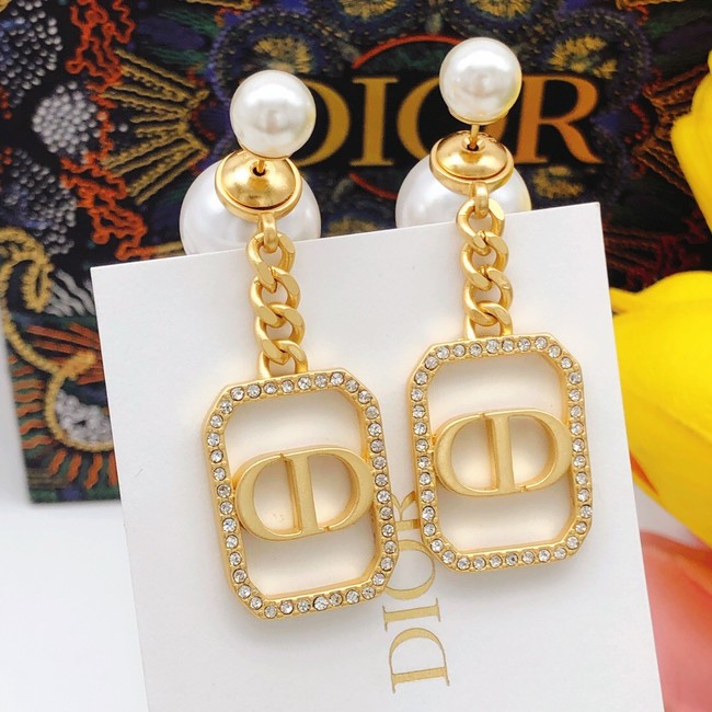 Dior Earrings CE8099
