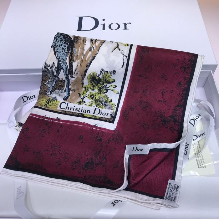 Dior Scarf DIS00056