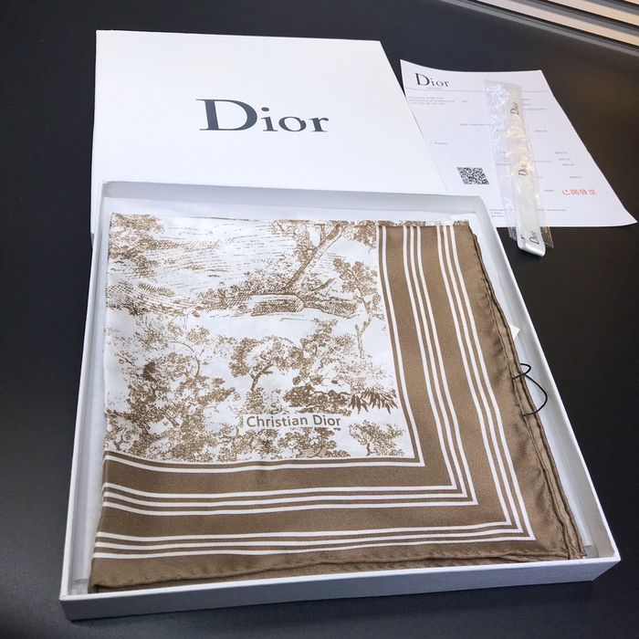 Dior Scarf DIS00057