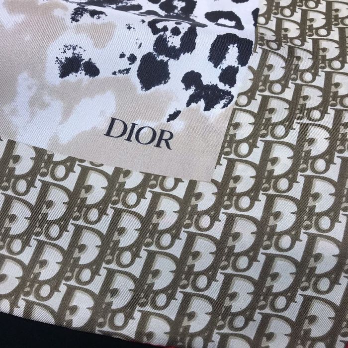 Dior Scarf DIS00064