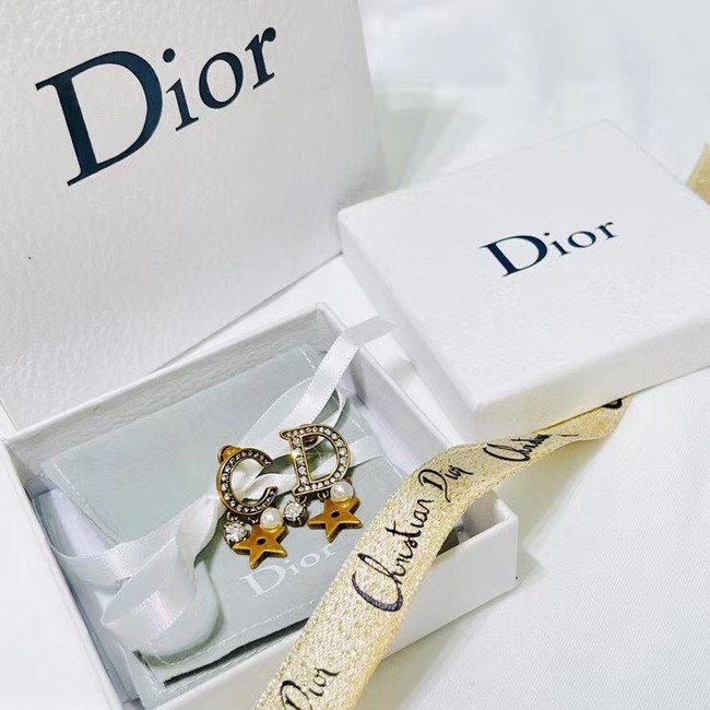 Dior Earrings CE8596