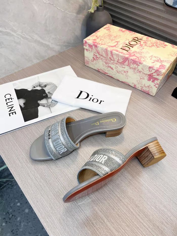 Dior Shoes DIS00195