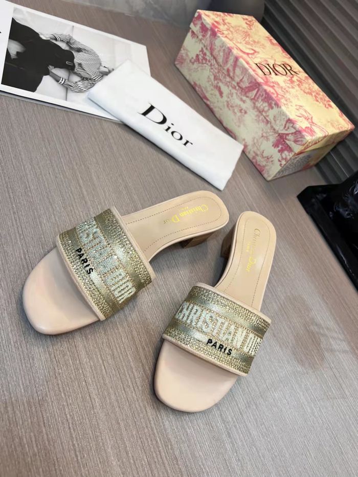 Dior Shoes DIS00199
