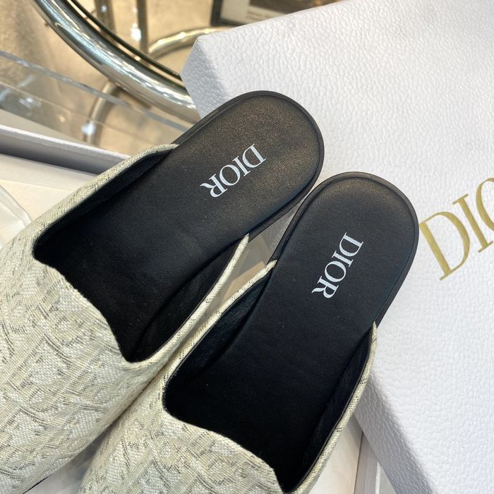 Dior Shoes DIS00201