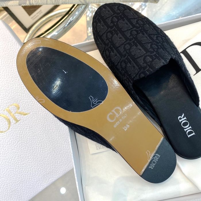Dior Shoes DIS00202