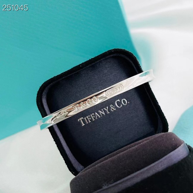 TIFFANY Bracelet CE8801