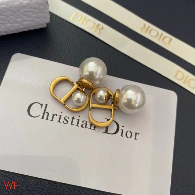 Dior Earrings CE8954