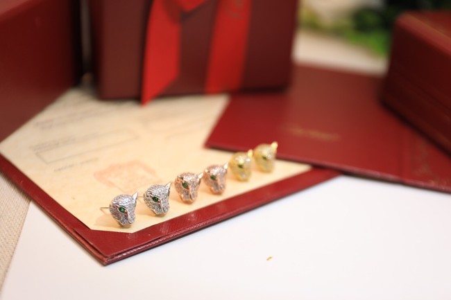 Cartier Earrings CE9077