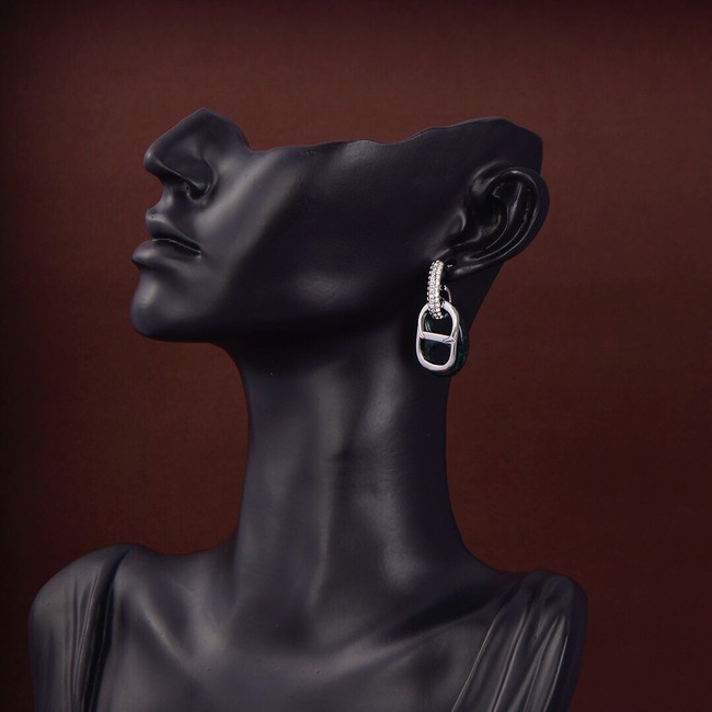 Dior Earrings CE9309
