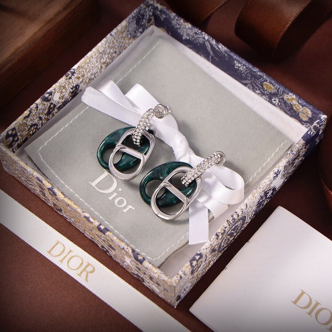 Dior Earrings CE9309