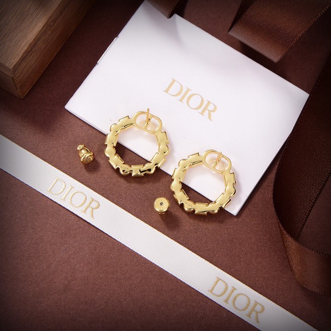 Dior Earrings CE9310