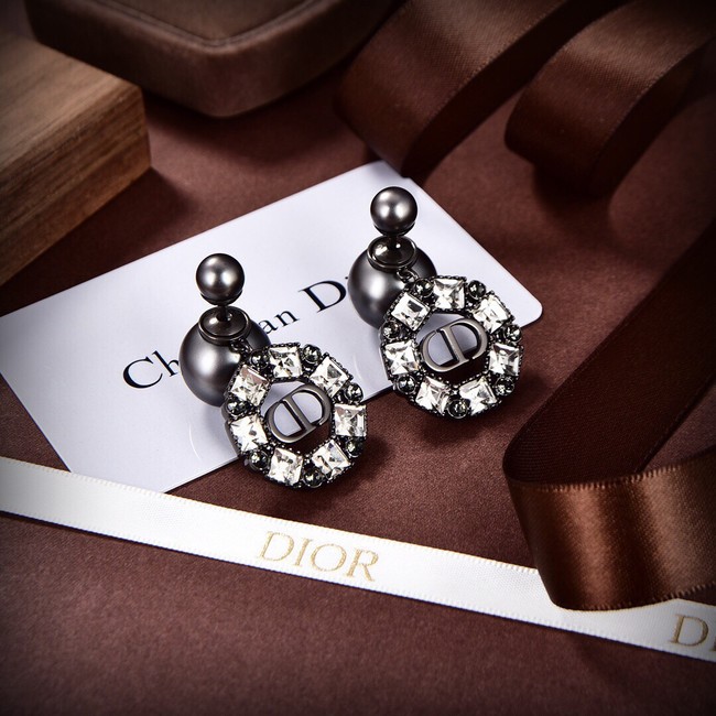 Dior Earrings CE9312