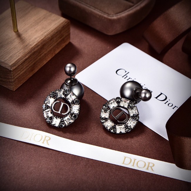 Dior Earrings CE9312