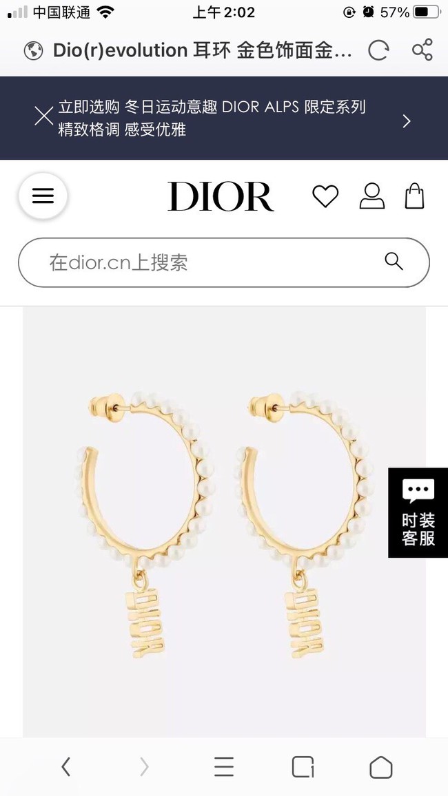 Dior Earrings CE9313