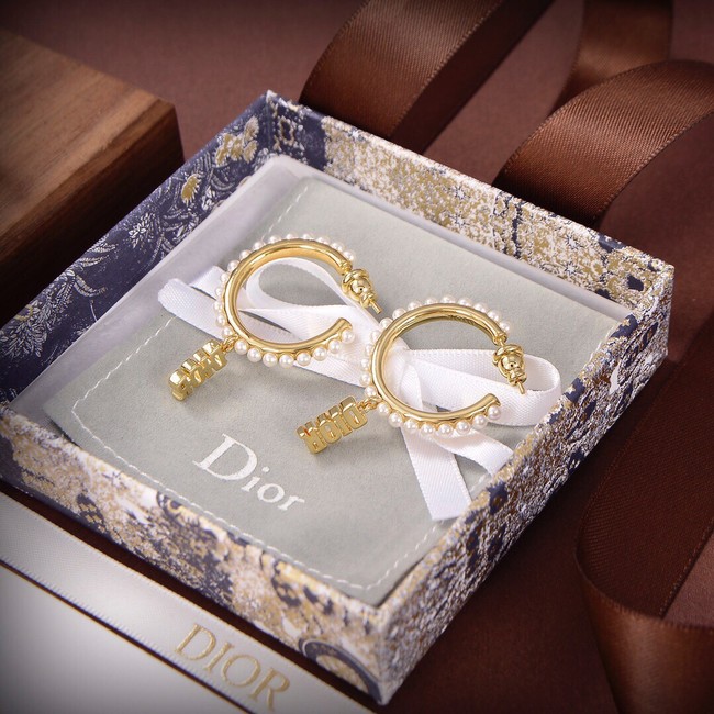 Dior Earrings CE9313