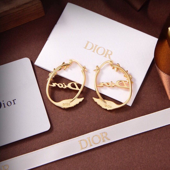 Dior Earrings CE9315