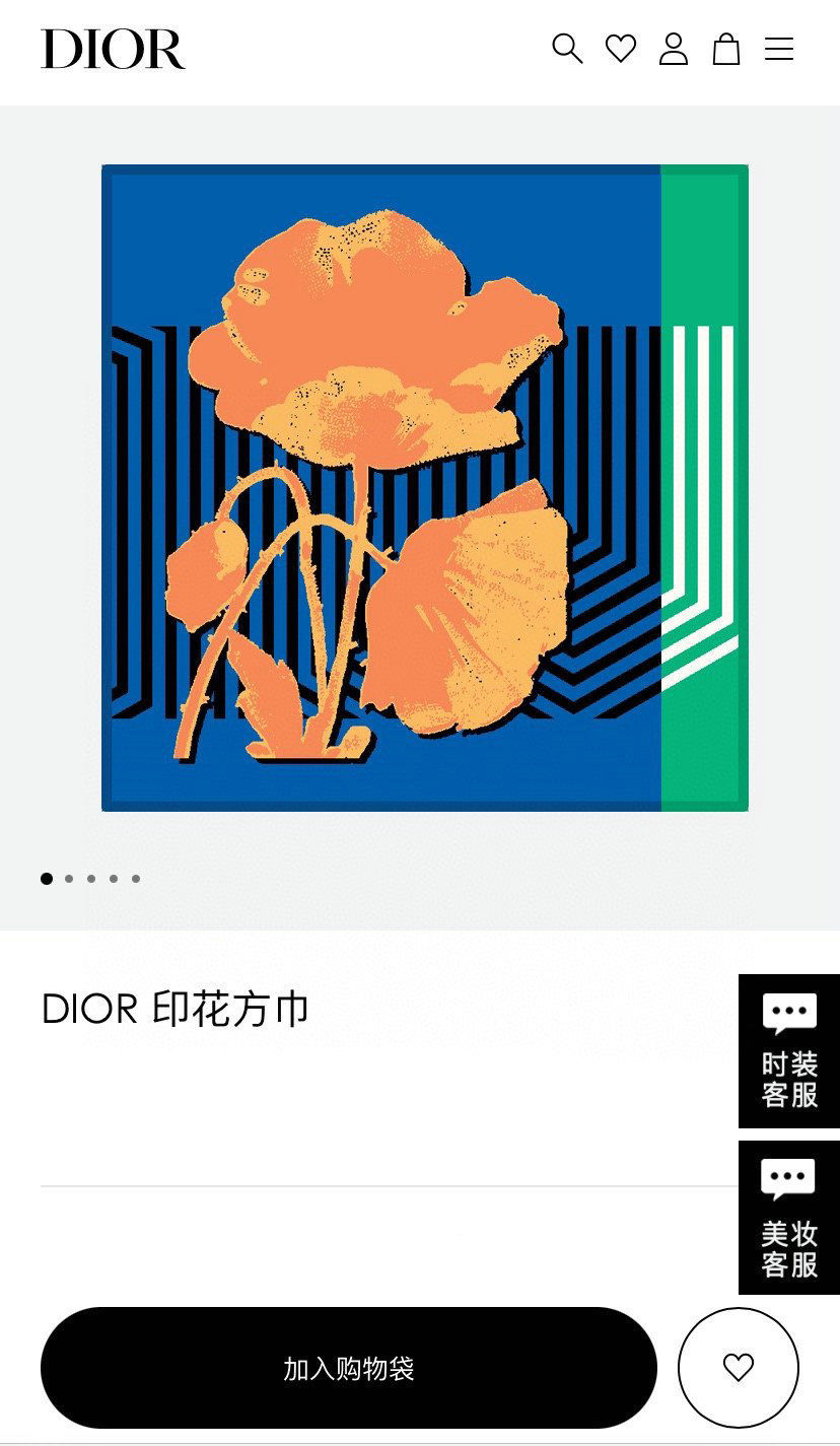 Dior Scarf DIC00066