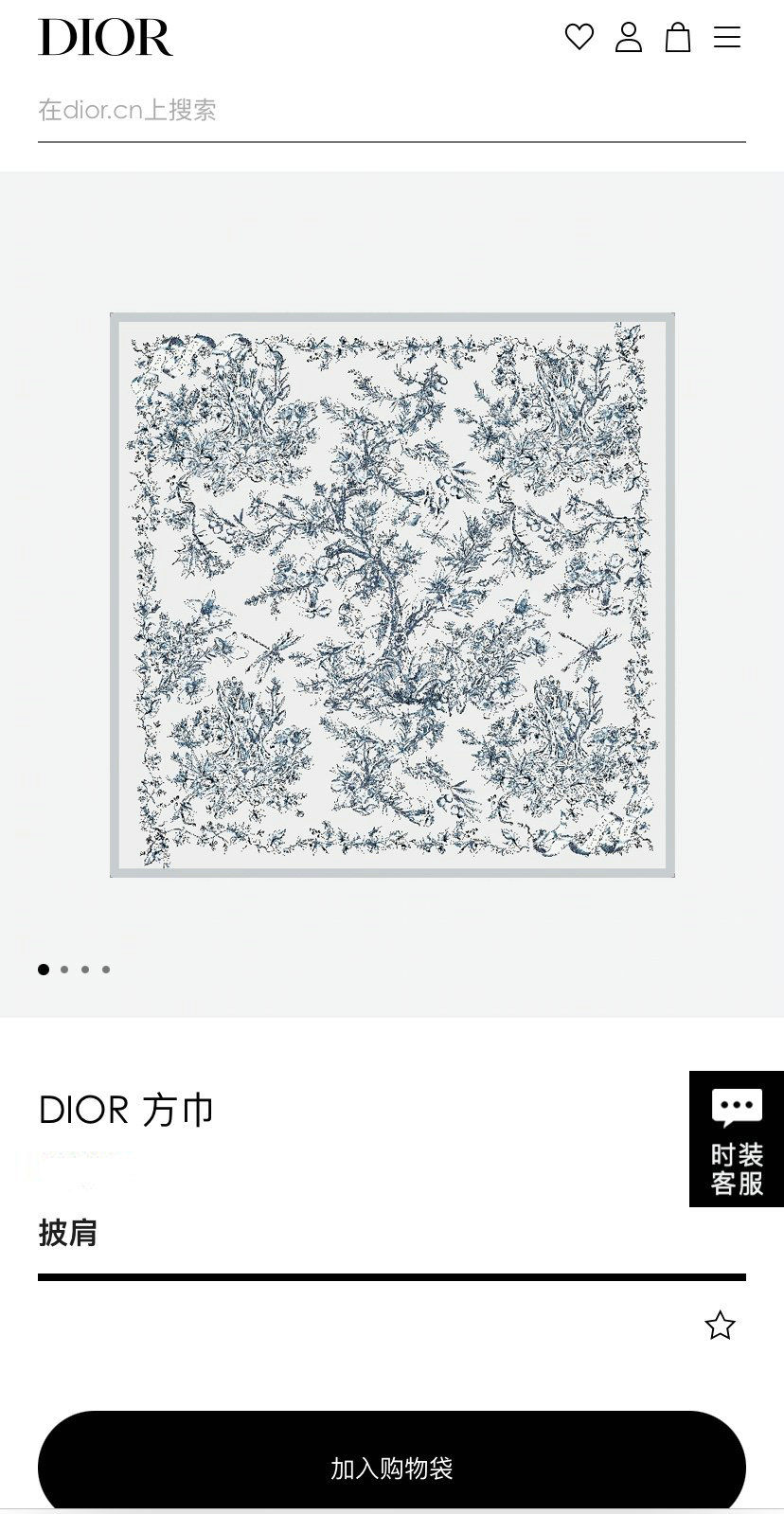 Dior Scarf DIC00133
