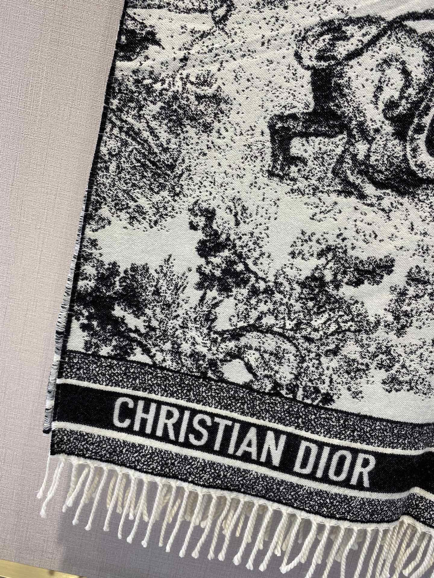 Dior Scarf DIC00139