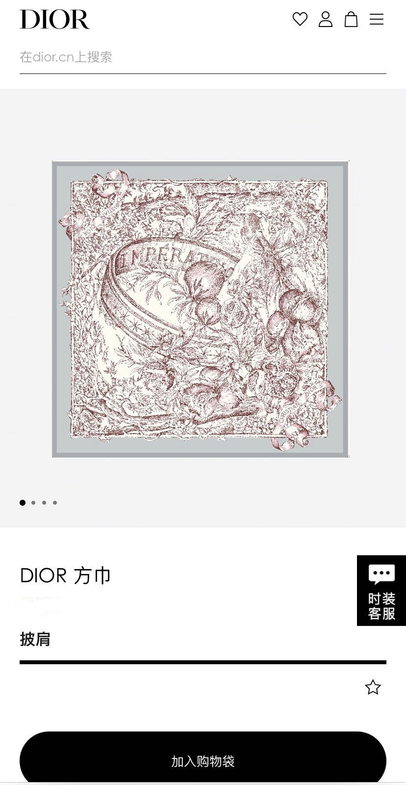 Dior Scarf DIC00144