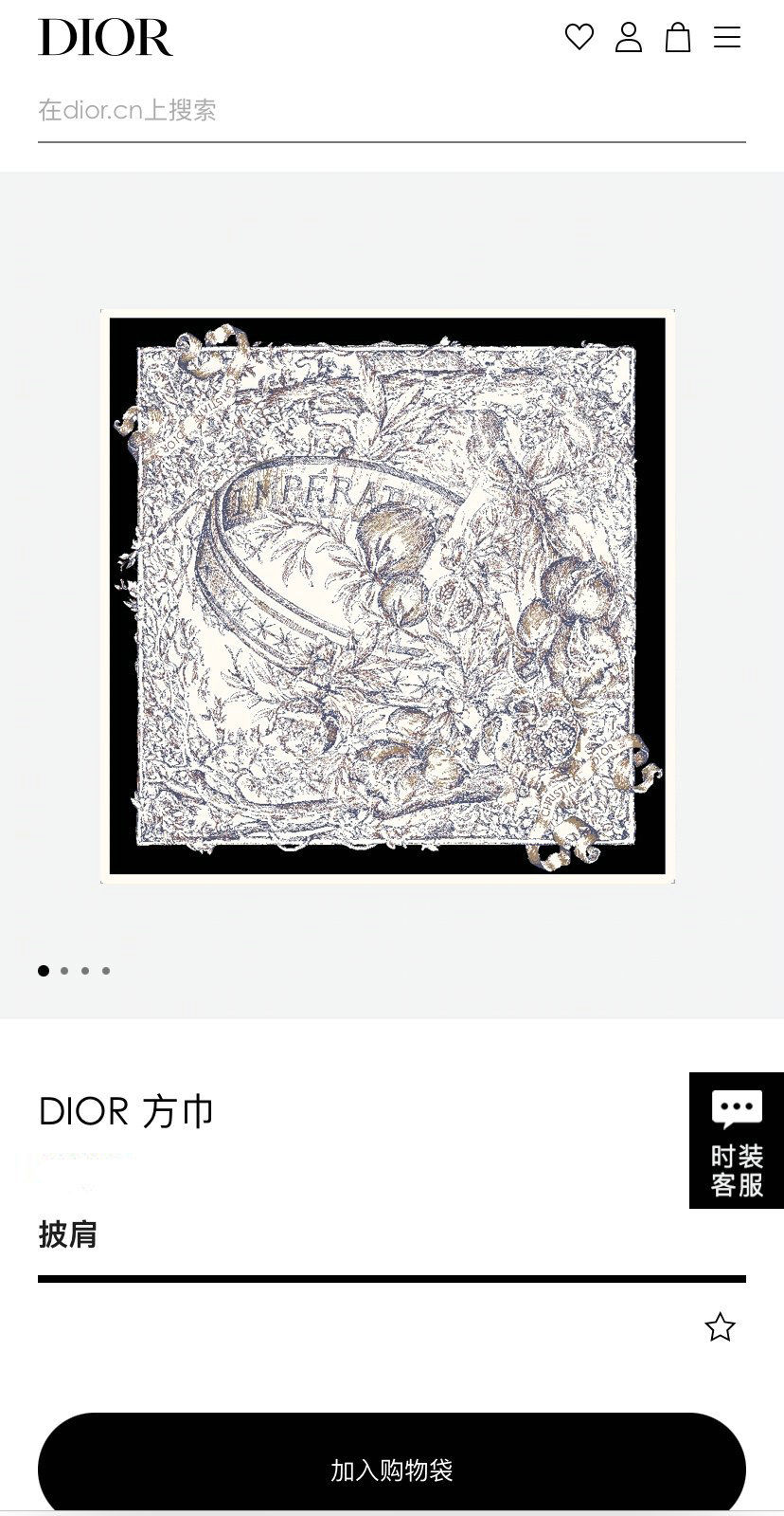 Dior Scarf DIC00145