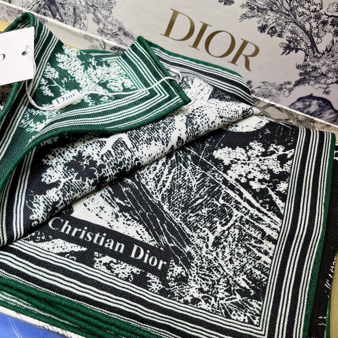 Dior Scarf DIC00147